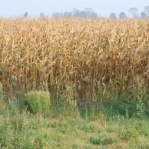 Charmehotel De stokerij te Oudenburg, West-Vlaanderen - Overnachten nabij Brugge, Oostende en De Haan